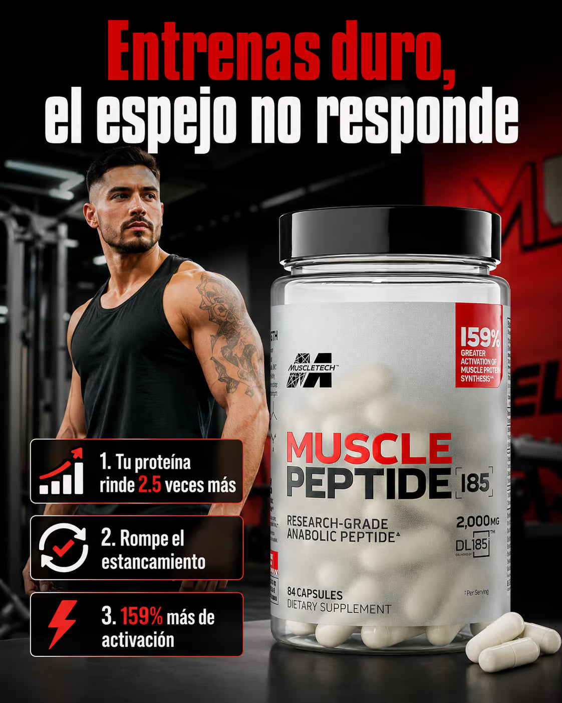 MUSCLE PEPTIDE